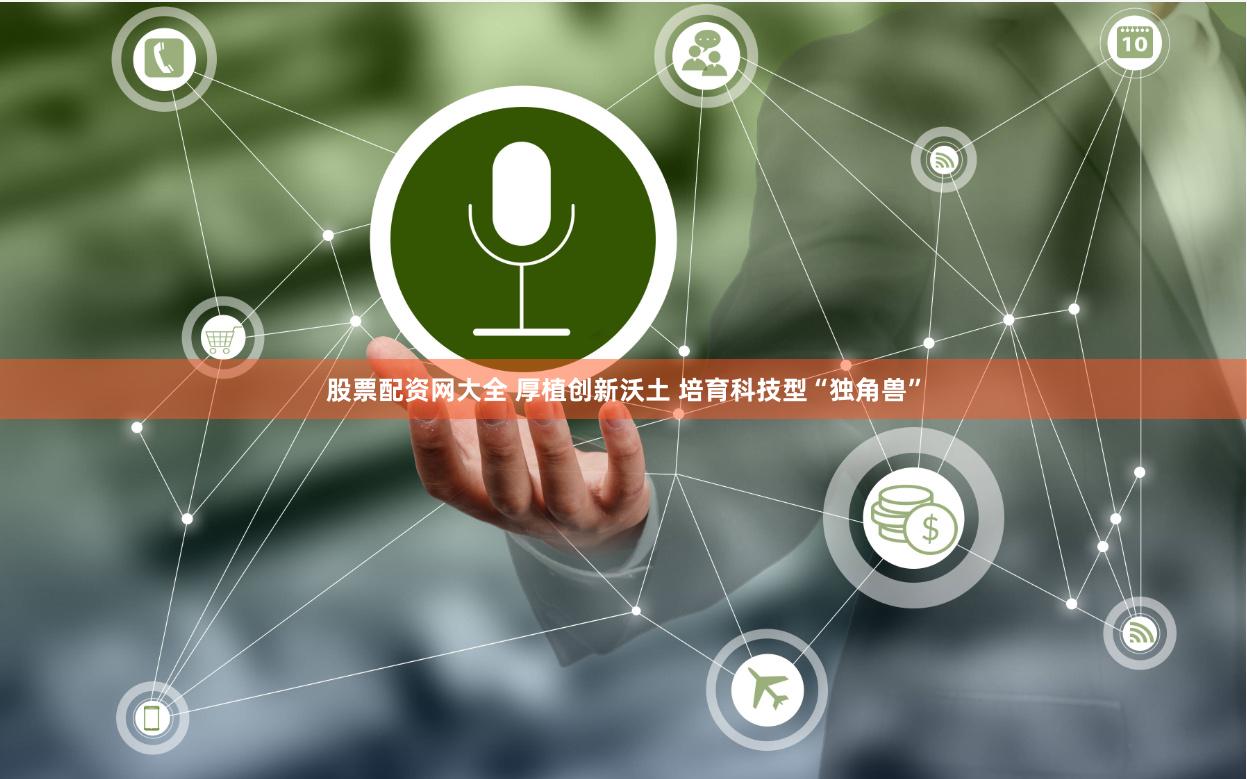 股票配资网大全 厚植创新沃土 培育科技型“独角兽”