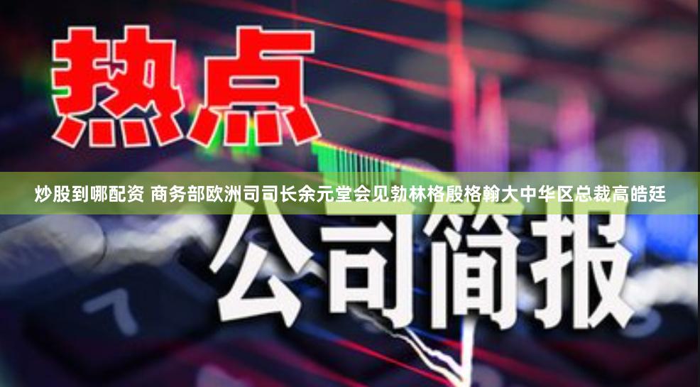 炒股到哪配资 商务部欧洲司司长余元堂会见勃林格殷格翰大中华区总裁高皓廷