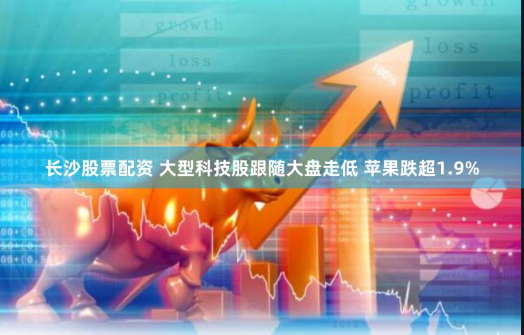 长沙股票配资 大型科技股跟随大盘走低 苹果跌超1.9%