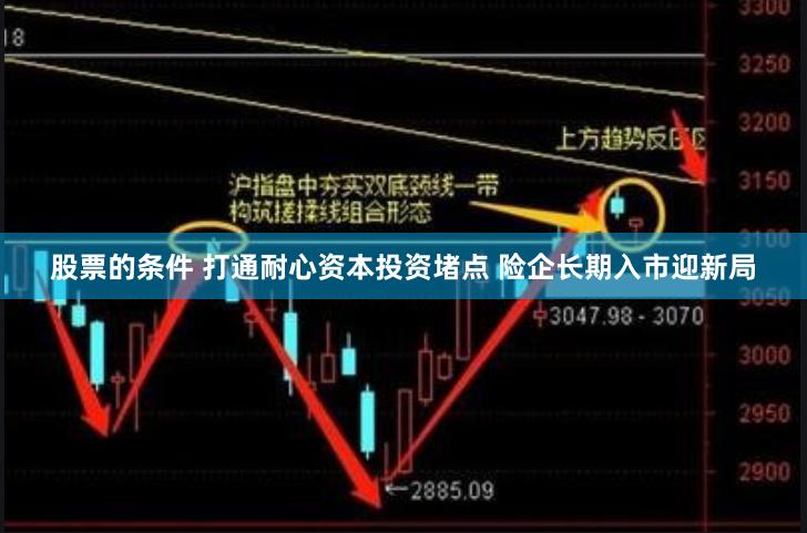 股票的条件 打通耐心资本投资堵点 险企长期入市迎新局