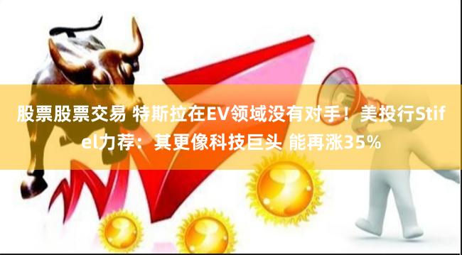 股票股票交易 特斯拉在EV领域没有对手！美投行Stifel力荐：其更像科技巨头 能再涨35%