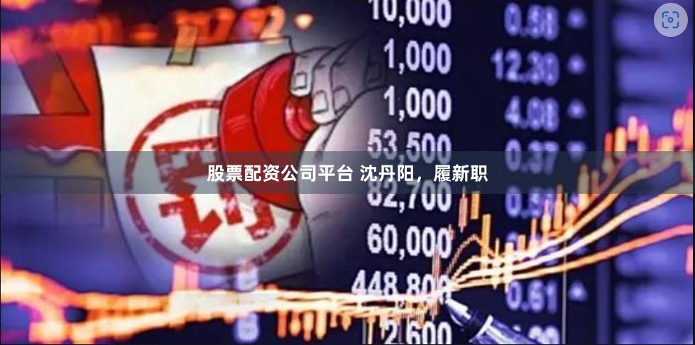 股票配资公司平台 沈丹阳，履新职